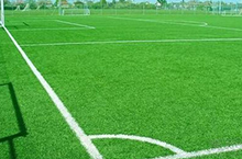 梅斯vs里昂分析预测 里昂历史对梅斯豪取6连胜