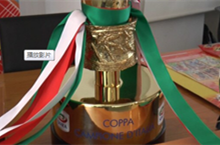 意杯：尤文vs米兰球迷可进场，但是疫区的球迷不行