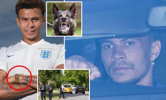 阿里遭入室抢劫后 英超球员纷纷购买凶猛护卫犬