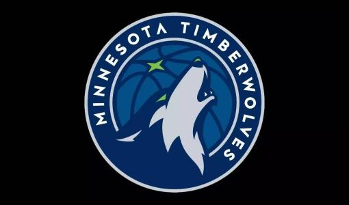 明尼苏达森林狼队历史数据