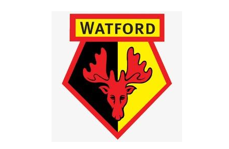 沃特福德足球俱乐部相关信息