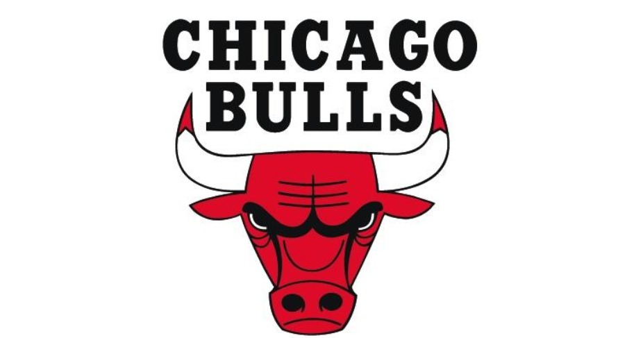 芝加哥公牛队历年战绩