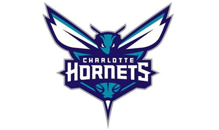 夏洛特黄蜂队历史数据