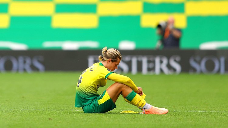 金丝雀4升5降成为第一个英超降级球队,你玩鸟呢