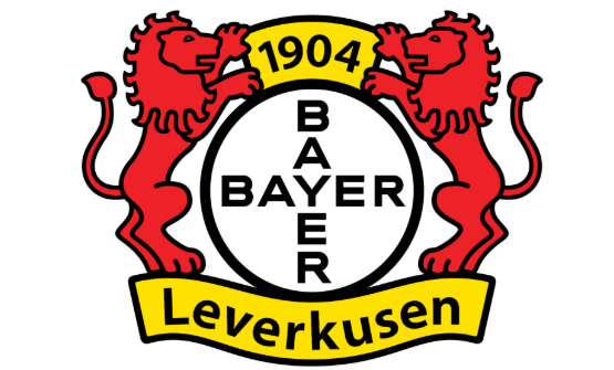 勒沃库森俱乐部简介