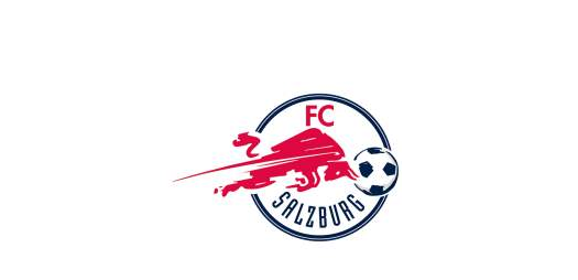 萨尔茨堡足球俱乐部简介