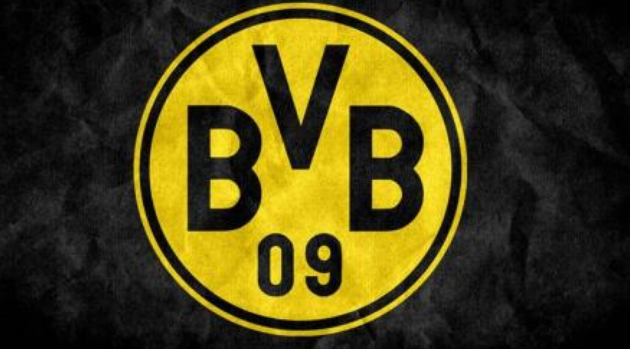 多特蒙德足球俱乐部简介