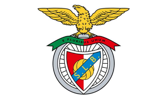 本菲卡足球俱乐部简介