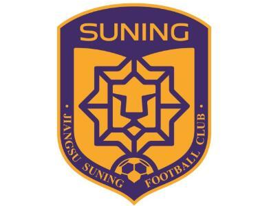 江苏苏宁足球俱乐部简介