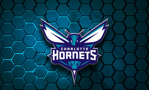 迈克尔乔丹是哪个队的老板