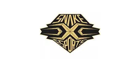 snake最新成员介绍 战队介绍 战队荣誉介绍