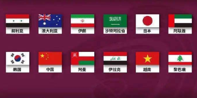 亚预赛12强名单