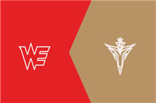 2021夏季赛V5战队vsWE战队战报