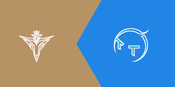 2021夏季赛V5战队vsTT战队战报