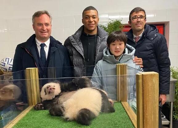 张家齐与姆巴佩为中国旅法熊猫幼崽命名